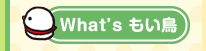 What's